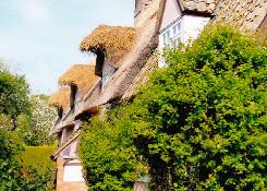 traditional-thatcher-cambs-beds-herts-dormer-window