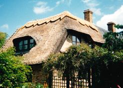 traditional-thatcher-cambs-beds-herts-cottage1